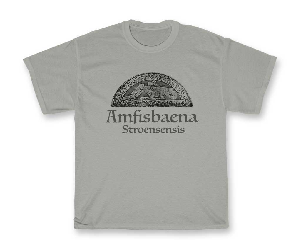 Amfisbaena