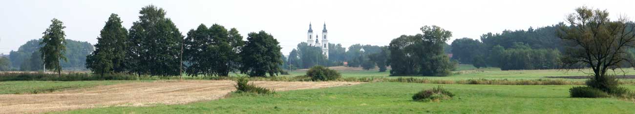 Krajobraz Witowa